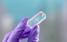 NASA gửi 'chip nội tạng' phi hành gia Artemis II lên vũ trụ để làm gì?