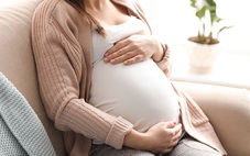 Phát hiện loại tế bào mới chỉ xuất hiện trong thai kỳ