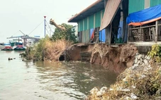 Sạt lở bờ sông Hậu dài 50m, ăn sâu vào bờ 8m, di dời 660 tấn gạo