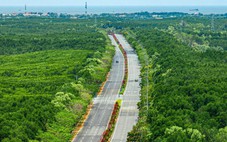 Các runner sẽ được trải nghiệm đường đua tốt nhất tại Cần Giờ