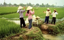 Chiếc gầu dây thương nhớ một thời trở lại phố phường