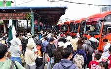 Giá xăng dầu biến động, TP.HCM kiến nghị miễn giảm phí đường bộ hỗ trợ doanh nghiệp vận tải