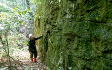 Khảo sát bức tường đá bí ẩn giữa rừng nguyên sinh Quảng Trị