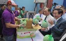 Bưởi da xanh chính thức vào thị trường Úc, Việt Nam kỳ vọng 'thắng lớn' với loại quả này