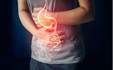 Vi sinh vật trong ruột có ảnh hưởng đến chất lượng tinh trùng, ‘phong độ’ nam giới?