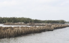 Bác khiếu nại của người bao chiếm đầm Đông Hồ