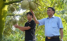 Tình trạng được mùa mất giá, điệp khúc trồng - chặt vẫn là điểm nóng ngành nông nghiệp