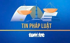 Vợ chồng giám đốc đậu phộng Tân Tân lãnh án tù vì không chấp hành bản án