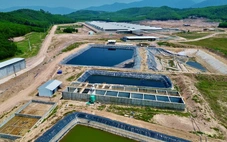 Mùi hôi từ trang trại nuôi heo bủa vây khu dân cư, dân phải đóng cửa cả ngày