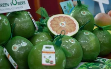 Những loại trái cây ngon và tốt cho người muốn giảm cân