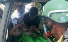 Ong đốt 5 nhân viên bảo vệ rừng ở Gia Lai, 1 người chết