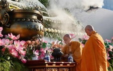 Đại lễ Phật đản: Không phóng sinh chim hoang dã, động vật quý hiếm