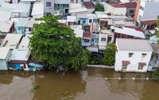 Chủ tịch UBND TP.HCM chỉ đạo ưu tiên vốn chống ngập, sạt lở ven sông Sài Gòn