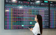 Chứng khoán Việt Nam tăng tốc, thế hệ công ty mới dần định hình vị thế