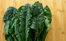 Vai trò của rau họ cải trong xử lý kim loại nặng trong đất