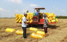 Yêu cầu chuyển từ tư duy sản xuất sang kinh tế nông nghiệp xanh