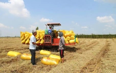 Yêu cầu chuyển từ tư duy sản xuất sang kinh tế nông nghiệp xanh