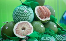 Ký nghị định thư xuất khẩu bưởi, chanh sang Trung Quốc