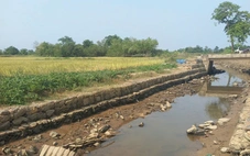 Mặn xâm nhập sâu ở Đà Nẵng, phải bơm lách mặn cứu lúa