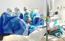 Việt Nam chuyển giao kỹ thuật hỗ trợ sinh sản cho Pháp