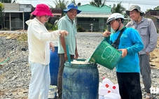 Chuyên gia đề xuất giải pháp thay thế đốt rơm sau thu hoạch lúa ở miền Tây