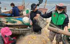 Biển cạn dần nguồn lợi, khởi động ‘hành lang xanh’ nối các khu bảo tồn