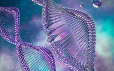 Phát hiện 17 triệu biến thể di truyền mới ở người Ai Cập