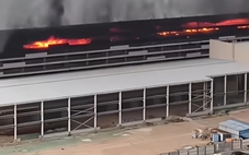 'Cháy nhà máy BYD không liên quan đến pin xe điện'