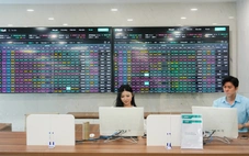 Từ 'giữ tiền' sang 'vận hành tài sản': Kafi cùng VIB định hình hệ sinh thái tài chính toàn diện