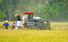 An Giang dự báo mặn xâm nhập sâu vào nội đồng, nguy cơ ảnh hưởng đến cây trồng