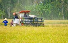 An Giang dự báo mặn xâm nhập sâu vào nội đồng, nguy cơ ảnh hưởng đến cây trồng
