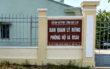 Bắt Giám đốc Ban Quản lý rừng phòng hộ Ia Rsai, Gia Lai