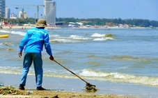 Nước biển Vũng Tàu đổi màu xanh, tím: Ghi nhận 69 loài thuộc 3 ngành tảo trong mẫu nước