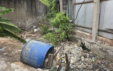 Dân tố nhiều doanh nghiệp gây ô nhiểm rạch Hậu Cái Thia