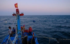 Quảng Ngãi công bố 3 khu vực biển làm nơi nhận chìm 9,2 triệu m³ chất nạo vét