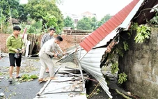 Lốc xoáy ở Phú Thọ làm 1 người bị thương, cây đổ trong cơn dông ở Thái Nguyên làm 1 người chết