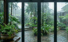 Đi dưới mưa có thể tốt cho sức khỏe hơn bạn nghĩ