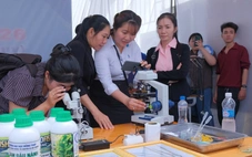 Học sinh miền Tây ứng dụng AI trong 'Sáng tạo vì cộng đồng'