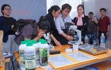 Học sinh miền Tây ứng dụng AI trong 'Sáng tạo vì cộng đồng'