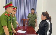 Bắt nữ giám đốc mua bán hóa đơn trái phép để trốn thuế gần 740 triệu đồng