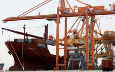 Việt Nam là lựa chọn nổi bật để doanh nghiệp toàn cầu đa dạng chuỗi cung ứng