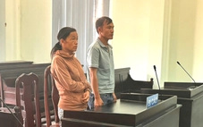 Thấy 1.000 con vịt thả đồng không ai trông coi, hai mẹ con bắt đem bán rồi cùng nhận án tù