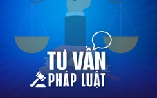 Chưa tốt nghiệp THPT có được hành nghề môi giới bất động sản?