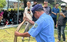 'Bắt sống' rắn hổ trâu dài 3m bò vào bãi xe bệnh viện ở Đắk Lắk