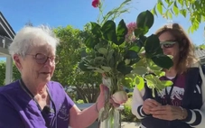 Người phụ nữ 83 tuổi tặng hàng ngày bông hoa mỗi năm