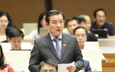 Đại biểu đề xuất xây dựng đạo luật đảm bảo quyền phát triển kinh tế tư nhân