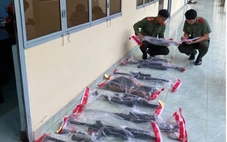 Đề nghị truy tố 10 bị can trong vụ mua bán, tàng trữ súng quân dụng ở Đồng Tháp