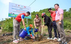 Dai-ichi Life Việt Nam trồng 6.000 cây xanh tại thảo nguyên Bùi Hui, tỉnh Quảng Ngãi