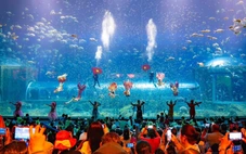 Phú Quốc chuẩn bị đón du khách đến chơi lễ 30-4 và 1-5