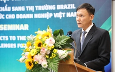 Doanh nghiệp cần lưu ý gì khi mở rộng xuất khẩu sang thị trường Brazil